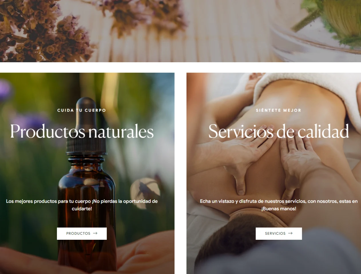 Proyecto nuevo - 2023-11-15T155810.341